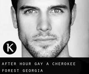 After Hour Gay à Cherokee Forest (Georgia)