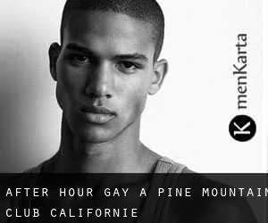 After Hour Gay à Pine Mountain Club (Californie)