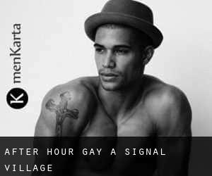 After Hour Gay à Signal Village