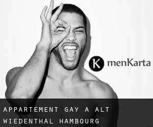 Appartement Gay à Alt Wiedenthal (Hambourg)