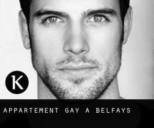 Appartement Gay à Belfays