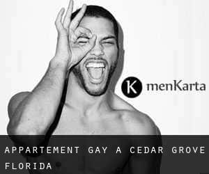 Appartement Gay à Cedar Grove (Florida)
