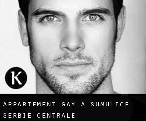 Appartement Gay à Sumulice (Serbie centrale)