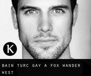 Bain turc Gay à Fox Wander West