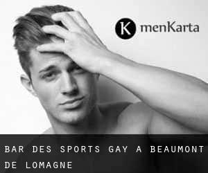 Bar des sports Gay à Beaumont-de-Lomagne