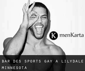 Bar des sports Gay à Lilydale (Minnesota)