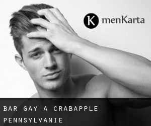 Bar Gay à Crabapple (Pennsylvanie)