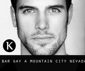 Bar Gay à Mountain City (Nevada)