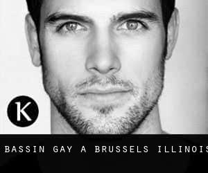 Bassin Gay à Brussels (Illinois)