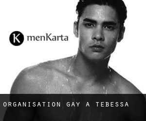 Organisation Gay à Tébessa