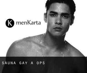 Sauna Gay à Ops