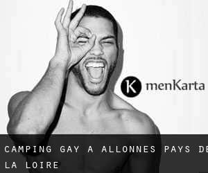 Camping Gay à Allonnes (Pays de la Loire)