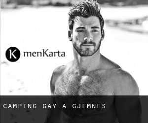 Camping Gay à Gjemnes