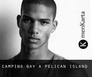 Camping Gay à Pelican Island