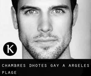 Chambres d'Hôtes Gay à Argelès Plage