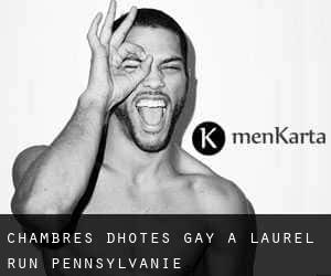 Chambres d'Hôtes Gay à Laurel Run (Pennsylvanie)