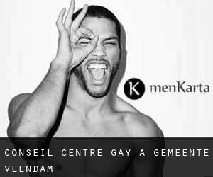 Conseil Centre Gay à Gemeente Veendam