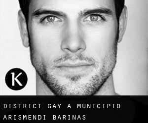 District Gay à Municipio Arismendi (Barinas)