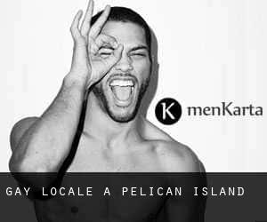 Gay locale à Pelican Island