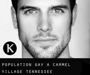 Population Gay à Carmel Village (Tennessee)