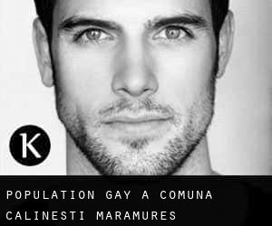 Population Gay à Comuna Călineşti (Maramureş)