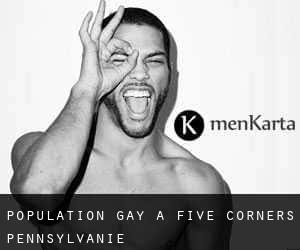 Population Gay à Five Corners (Pennsylvanie)