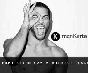 Population Gay à Ruidoso Downs
