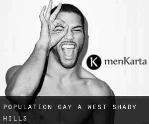 Population Gay à West Shady Hills