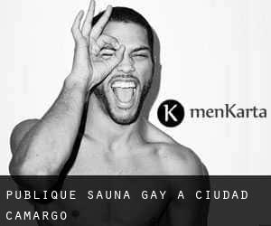 Publique Sauna Gay à Ciudad Camargo