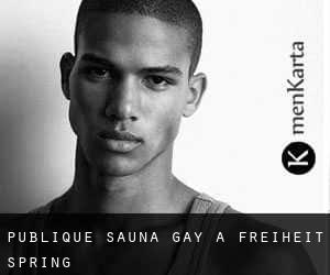 Publique Sauna Gay à Freiheit Spring