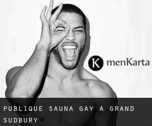 Publique Sauna Gay à Grand Sudbury