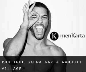 Publique Sauna Gay à Waquoit Village