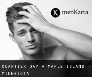 Quartier Gay à Maple Island (Minnesota)