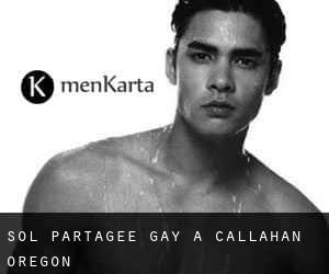 Sol partagée Gay à Callahan (Oregon)